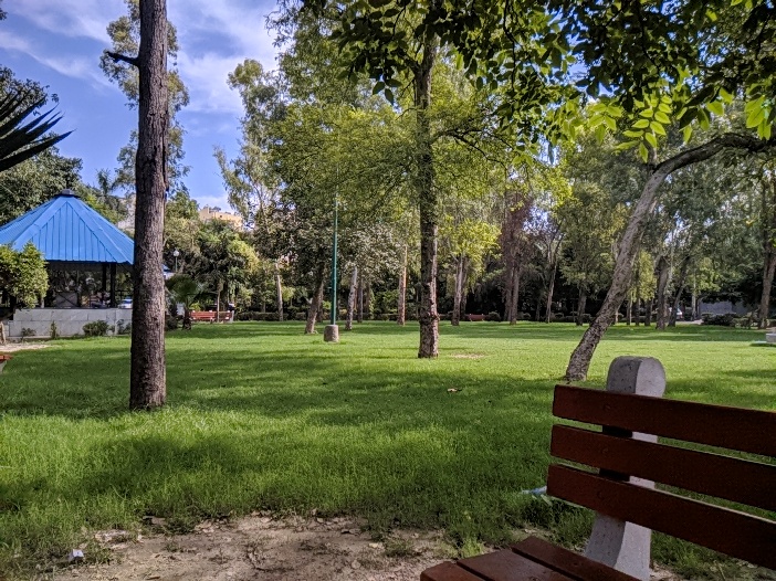 Chandiwala Park DDA in Ashok Vihar: lawn with tall trees and a blue-roofed gazebo.