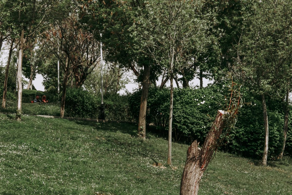 Representative photo: people relaxing on the lawns of a leafy neighbourhood park