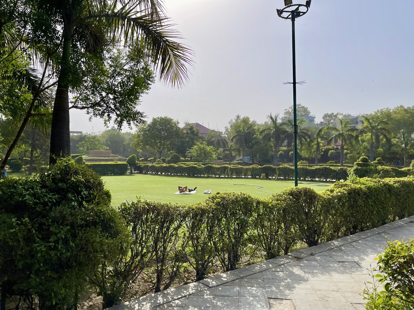 Teachers Park in Ashok Vihar: manicured lawns with trimmed hedges, palms and a paved walking path under morning light.